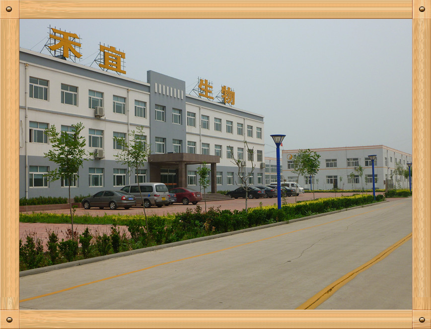 China Weifang Heyi Agrochemical Co.,Ltd company profile