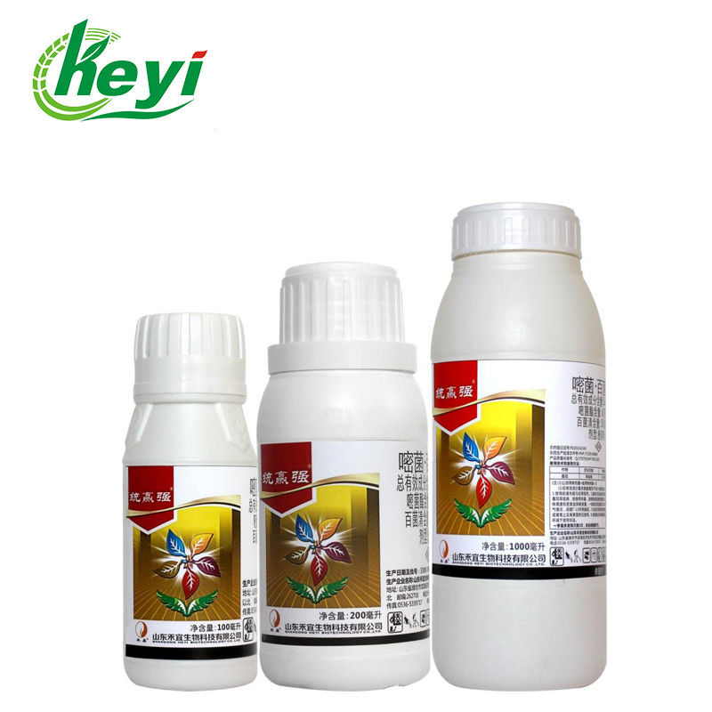 Azoxystrobin 60g L Chlorothalonil 500g L SC Fungicide Pesticide